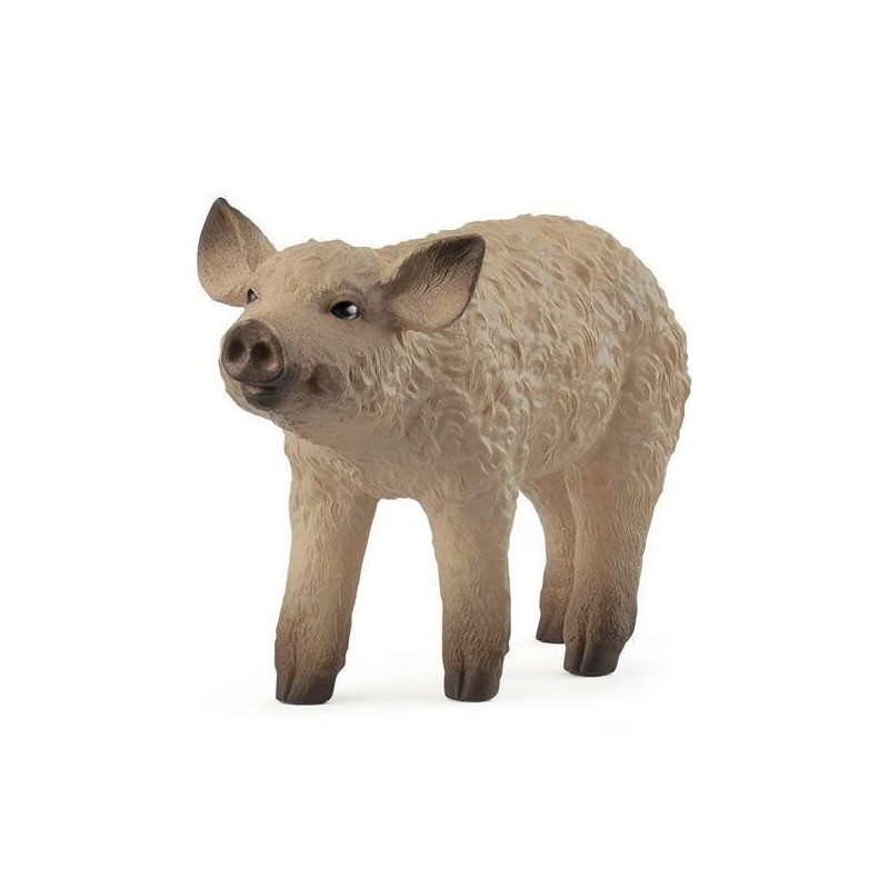 Porcelet Mangalica