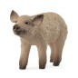 Porcelet Mangalica