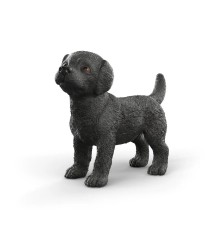 Chiot Labrador Retriever noir