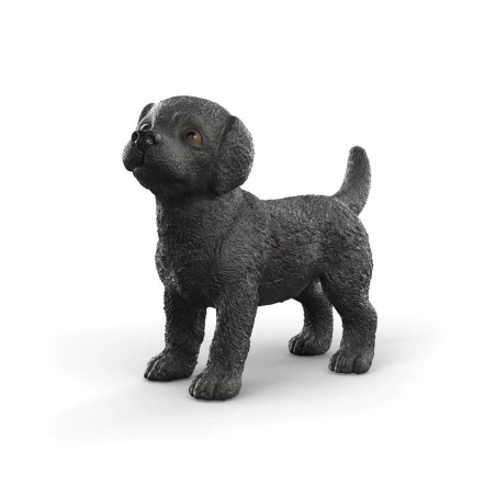 Chiot Labrador Retriever noir