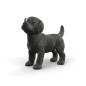 Chiot Labrador Retriever noir