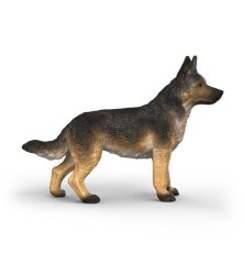 Berger Allemand Femelle