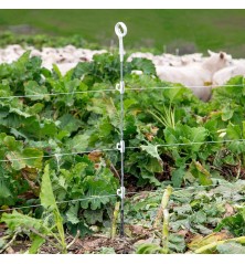 Isolateur Piquet Multi-fil Blanc