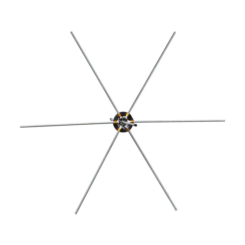 Araignée de prairie