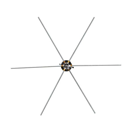 Araignée de prairie