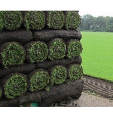 Gazon en rouleaux