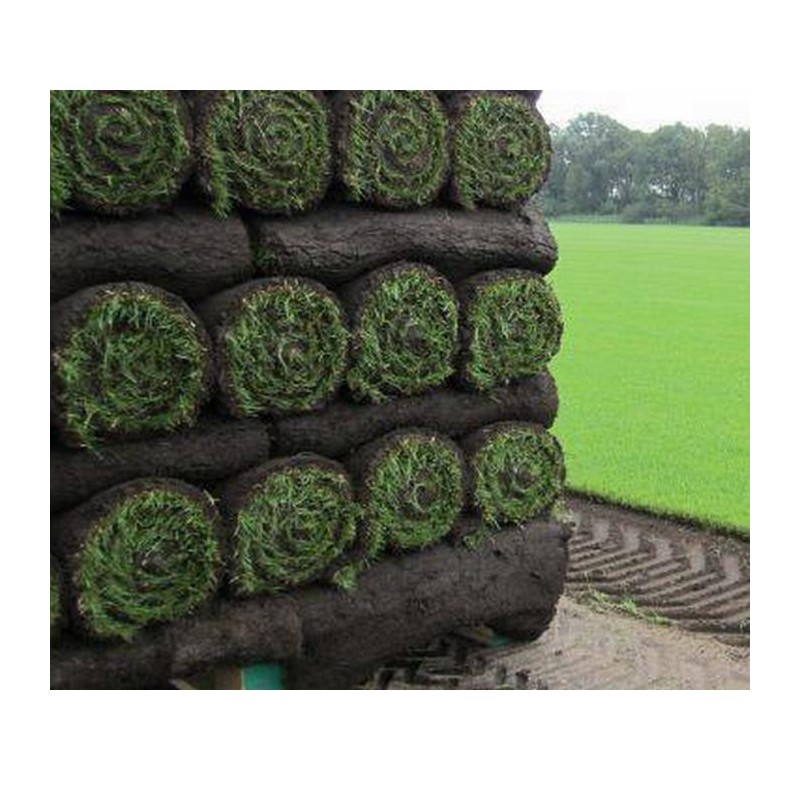 Gazon en rouleaux