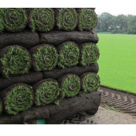 Gazon en rouleaux