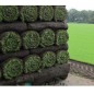 Gazon en rouleaux