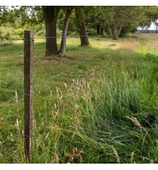 Epingle longue pour Insultimber/Eco