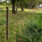 Epingle longue pour Insultimber/Eco