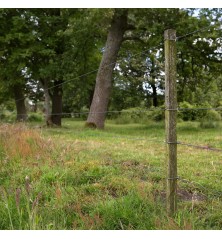 Epingle longue pour Insultimber/Eco