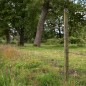 Epingle longue pour Insultimber/Eco