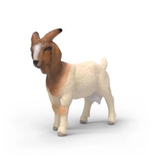 Chèvre Boer