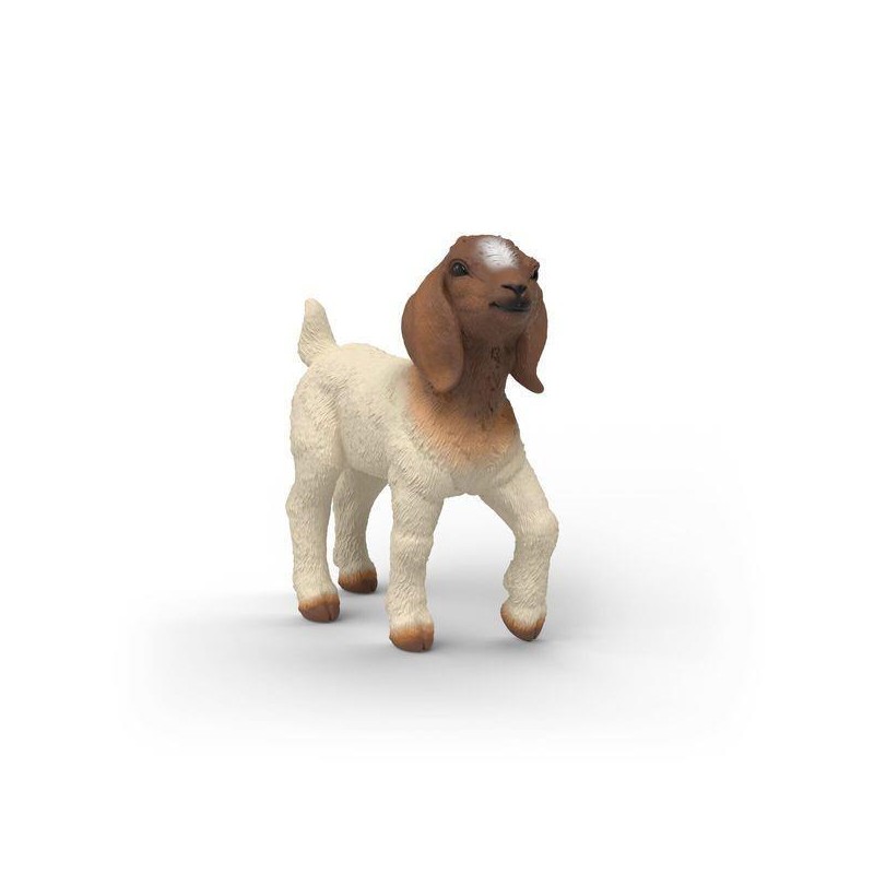 Chevreau Boer