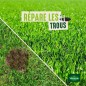 Gazon regarnissage 1kg