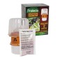 Kit Piège sélectif Frelons Asiatiques