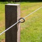 Epingle courte pour Insultimber/Eco