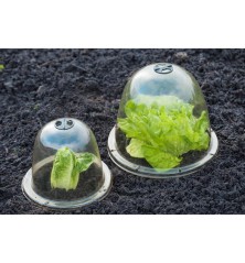 Cloches avec ventilation H20 x Ø25,5 cm (lot de 3)