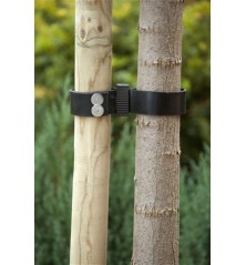 Collier de tuteurage 60x3,8cm (2 pièces)