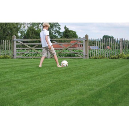 Super Sporta 10kg