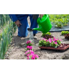 Arrosoir Nature Vert 10L