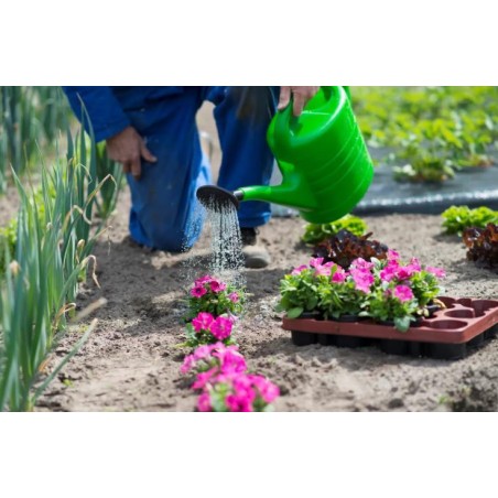 Arrosoir Nature Vert 10L