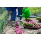 Arrosoir Nature Vert 10L