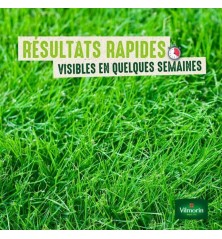 Gazon Sport et Jeux 1kg