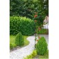Pergola arche en acier plastifié vert, tube Ø13mm - H240x140x37cm