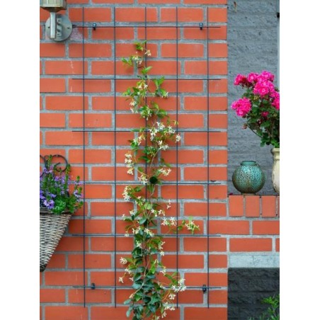 Treillis métallique H145x72,5cm gris