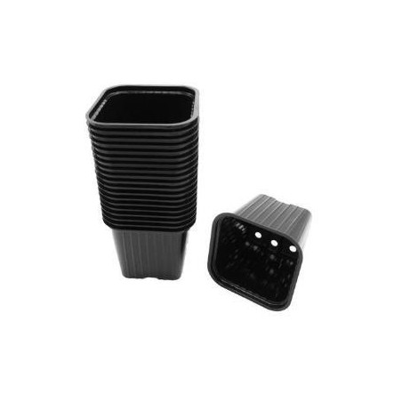 Pots de bouturage en polypropylène - H6x7x7cm (20 pièces)