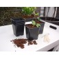 Pots de bouturage en polypropylène - H6x7x7cm (20 pièces)