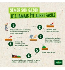 Gazon Sport et Jeux 1kg