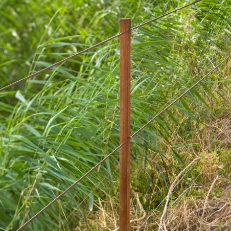 Piquet intermédiaire Insultimber 126cm