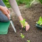 Transplantoir effilé et gradué avec manche en bois FSC®