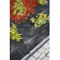 Toile de paillage PP noire 1x25m