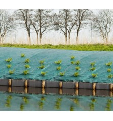 Toile de paillage vert 2x5m 100 g/m²