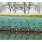 Toile de paillage vert 2x5m 100 g/m²