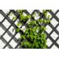 Treillis extensible bois FSC anthracite H100xL200cm