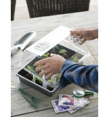 Terrine rigide pour semis anthracite - H37,5x24x6cm