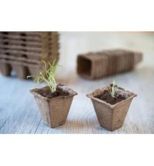 Pots biodégradables en fibres bois recyclées, carrés H6x6x6cm