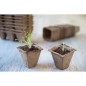 Pots biodégradables en fibres bois recyclées, carrés H6x6x6cm