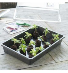 Terrine rigide pour semis noire - H37,5x24x6cm