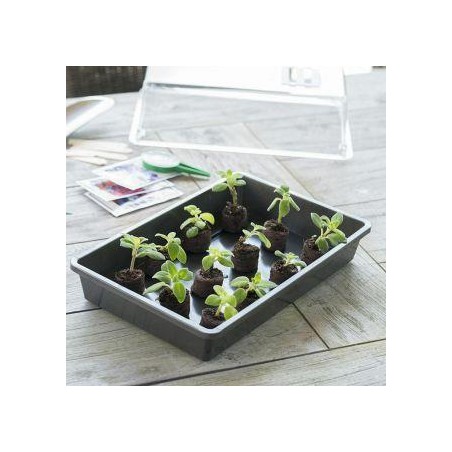Terrine rigide pour semis noire - H37,5x24x6cm