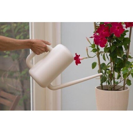 Arrosoir Basic Ivoire 3,8L