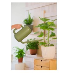 Arrosoir Basic Vert 3,8L