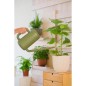 Arrosoir Basic Vert 3,8L