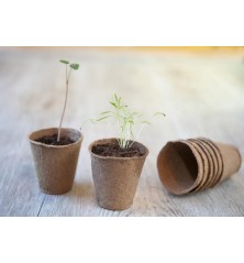 Pots biodégradables ronds H6 x Ø6cm (24 pièces)