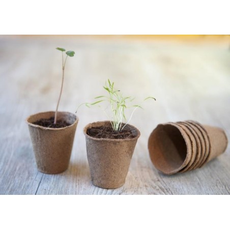 Pots biodégradables ronds H6 x Ø6cm (24 pièces)